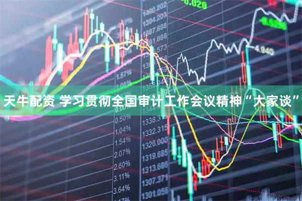天牛配资 学习贯彻全国审计工作会议精神“大家谈”