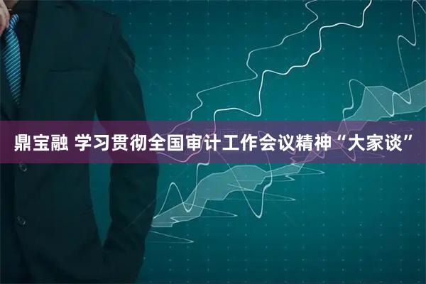 鼎宝融 学习贯彻全国审计工作会议精神“大家谈”