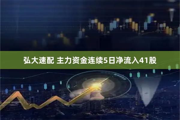 弘大速配 主力资金连续5日净流入41股