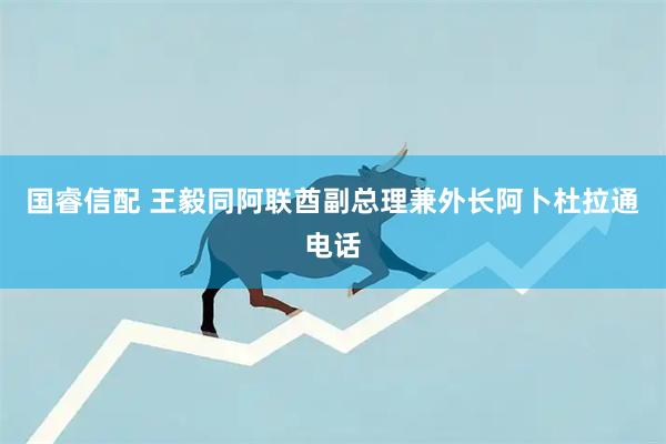 国睿信配 王毅同阿联酋副总理兼外长阿卜杜拉通电话