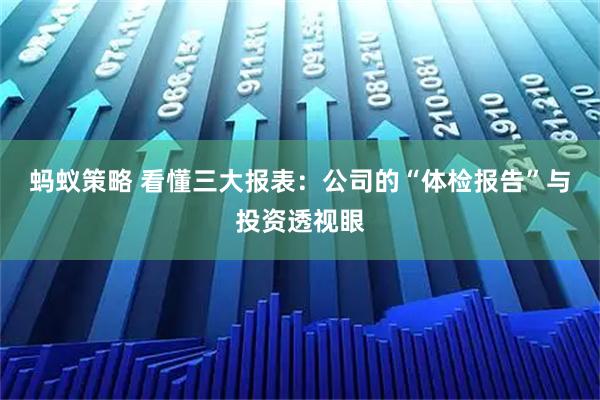 蚂蚁策略 看懂三大报表：公司的“体检报告”与投资透视眼