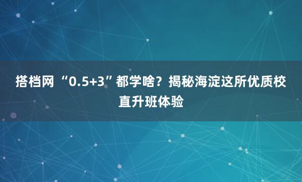 搭档网 “0.5+3”都学啥？揭秘海淀这所优质校直升班体验