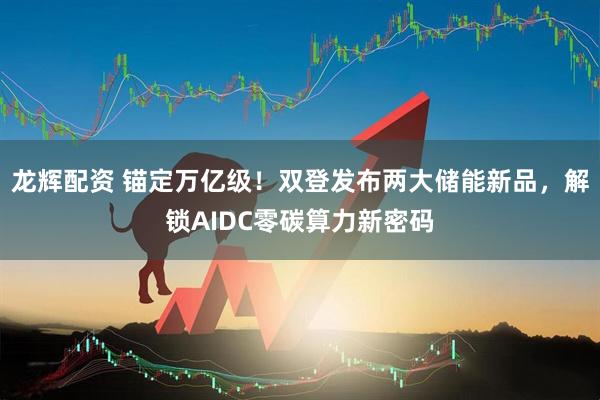 龙辉配资 锚定万亿级！双登发布两大储能新品，解锁AIDC零碳算力新密码