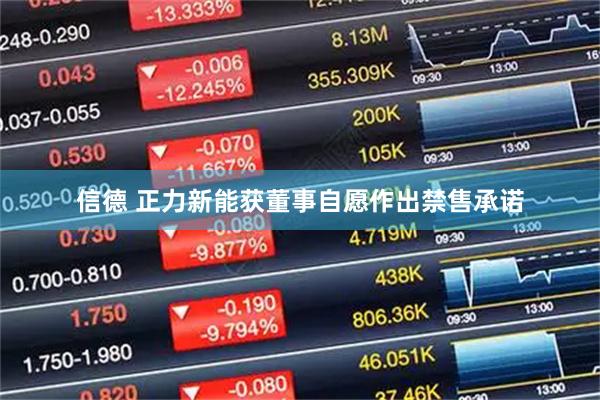 信德 正力新能获董事自愿作出禁售承诺