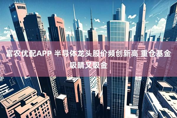 富农优配APP 半导体龙头股价频创新高 重仓基金吸睛又吸金