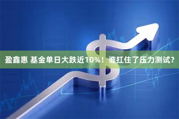 盈鑫惠 基金单日大跌近10%！谁扛住了压力测试？