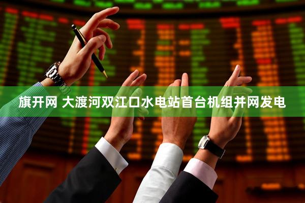 旗开网 大渡河双江口水电站首台机组并网发电
