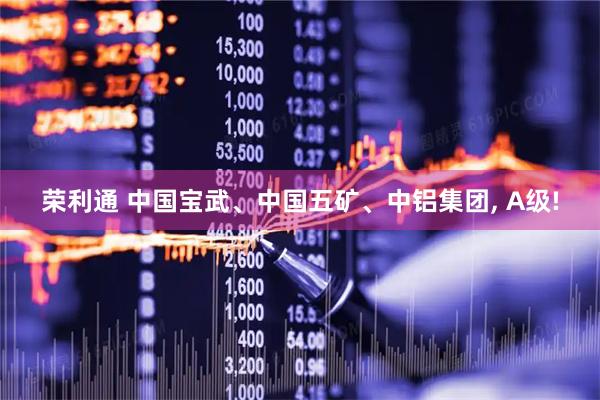 荣利通 中国宝武、中国五矿、中铝集团, A级!