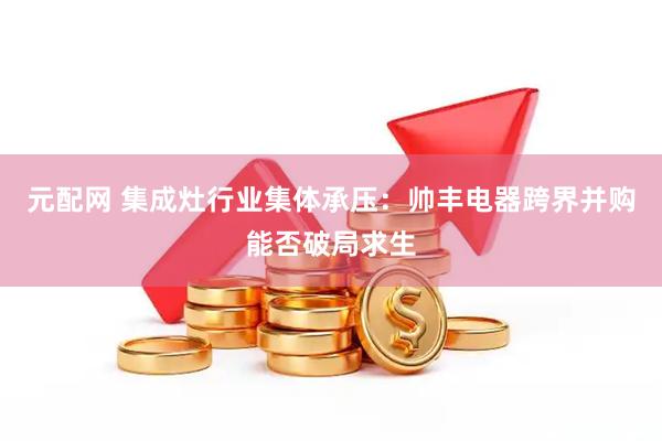 元配网 集成灶行业集体承压：帅丰电器跨界并购能否破局求生